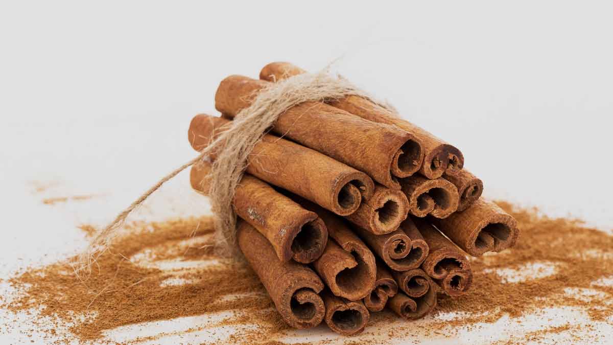 How-to-Make-Cinnamon-Hair-Mask