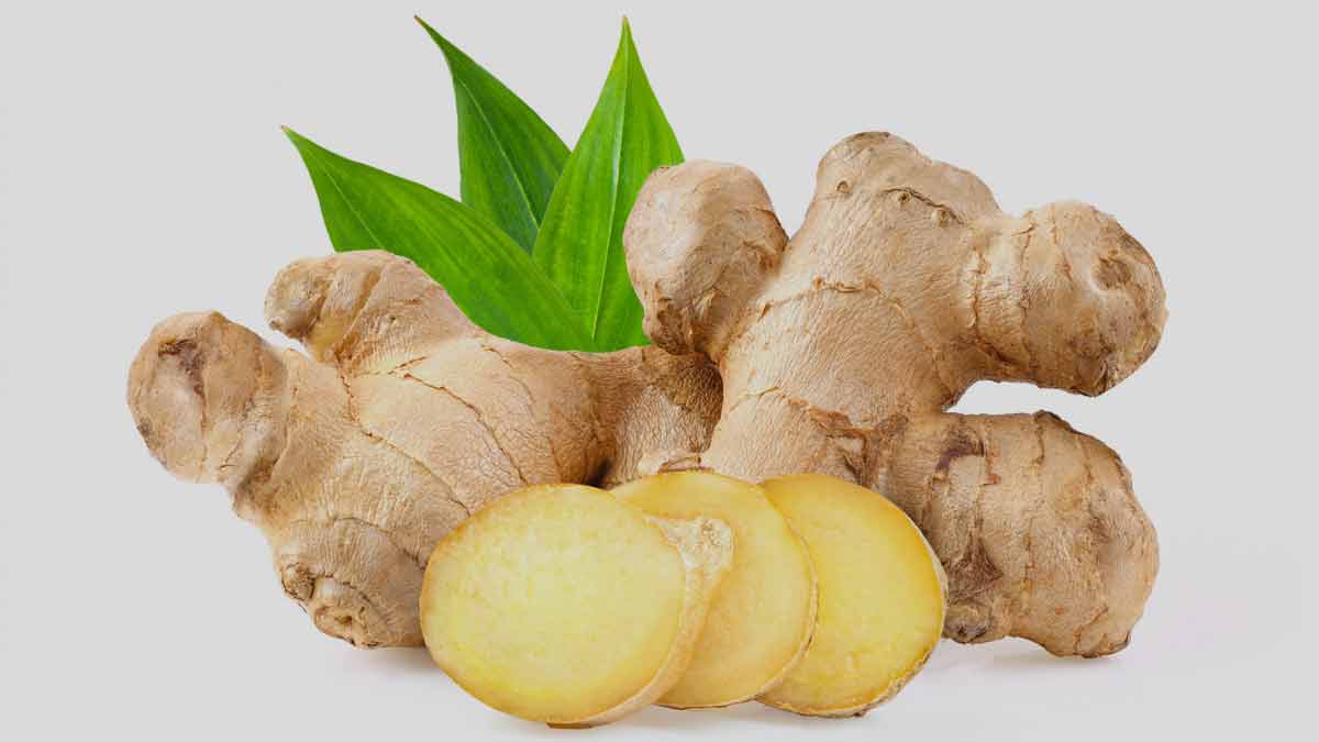 Benefits of Ginger for Hair