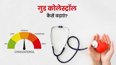 HDL Cholesterol: गुड कोलेस्ट्रॉल कैसे बढ़ाएं? जानें 5 तरीके