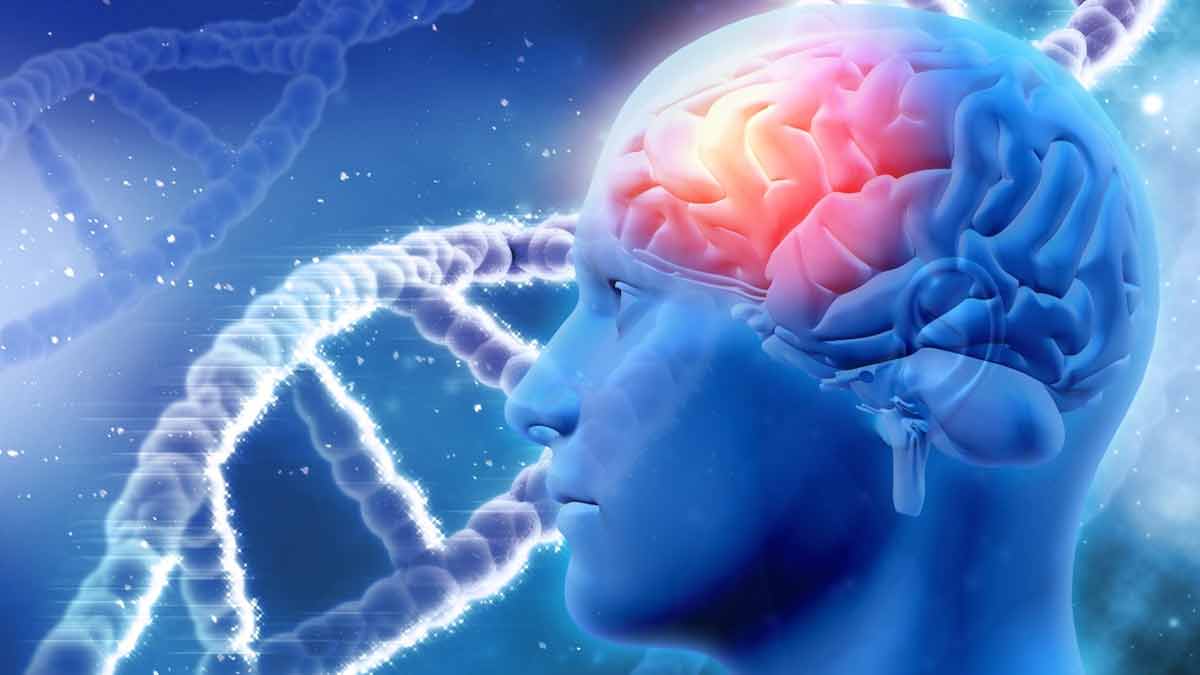 Brain Exercises to Prevent Alzheimer’s And Dementia