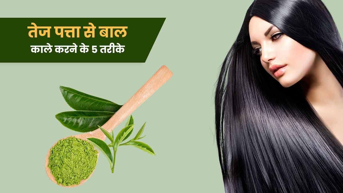करी पत्ता से बालों को कैसे काला करें? जानें 5 तरीके | Curry Leaves For  Black Hair in Hindi | kari patta se baal kale kaise kare