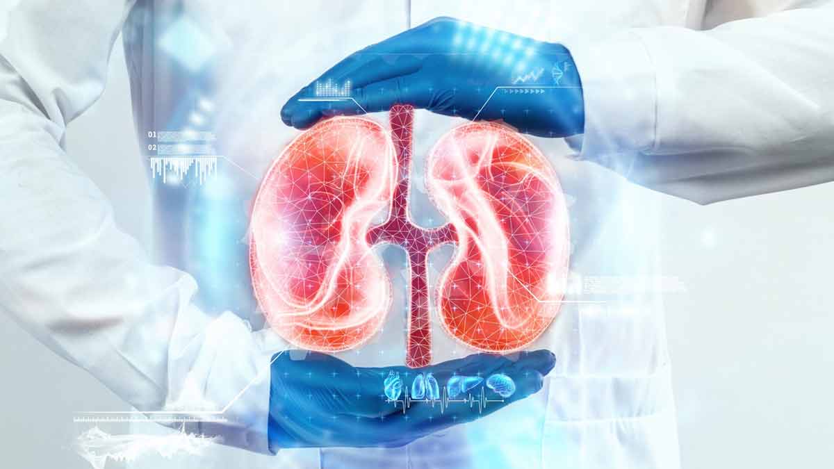 किडनी को स्वस्थ रखना है, तो डाइट में जोड़ें ये 7 फूड्स