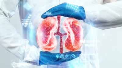 किडनी को स्वस्थ रखना है, तो डाइट में जोड़ें ये 7 फूड्स