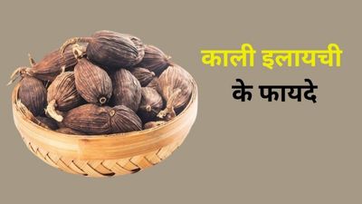 काली इलायची खाने से दूर होती हैं ये 5 समस्याएं, जानें खाने का तरीका