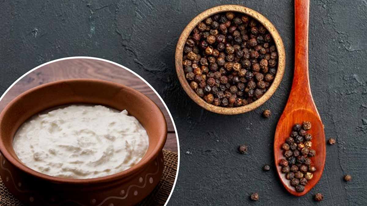 black pepper and curd 