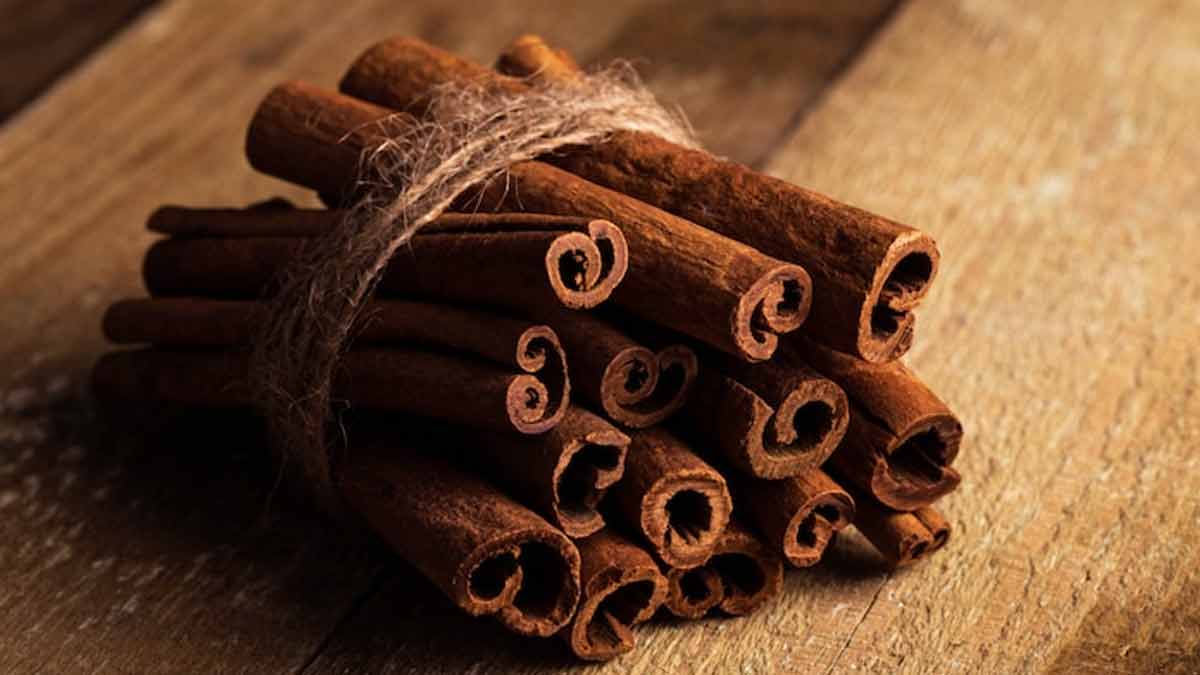 cinnamon benefits 