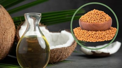 नारियल तेल और मेथी के इस्तेमाल से बालों को बनाएं घना और मजबूत, जानें तरीका