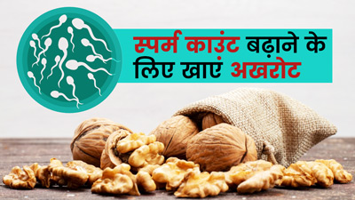 स्पर्म काउंट बढ़ाने के लिए पुरुष रोज खाएं अखरोट, जानें कैसे खाएं और खाने का सही समय