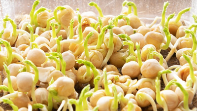 मूंग, सोयाबीन और मोठ को भिगोकर खाने से सेहत को मिलेंगे ये फायदे