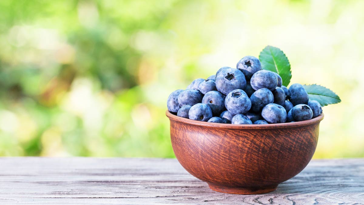 Blueberry Benefits for Weight Loss