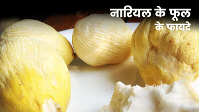 नारियल का फूल है हड्डियों के लिए वरदान, एक्सपर्ट से जानें इसके फायदे