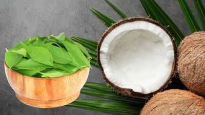 करी पत्ता और नारियल तेल का मिश्रण बालों के लिए है बहुत फायदेमंद
