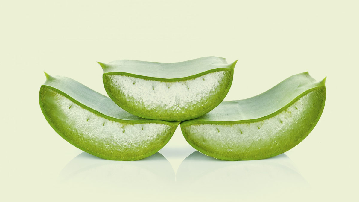 Aloevera