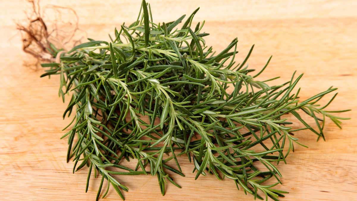 Thyme tea