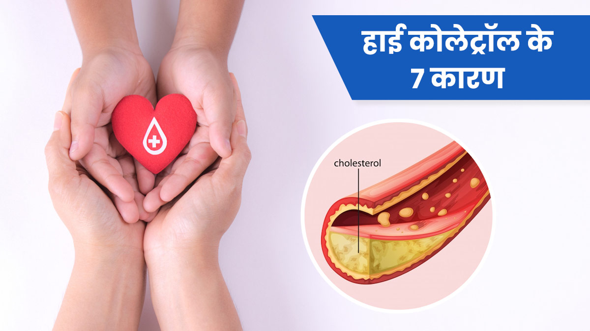 Cholesterol In Hindi Translate