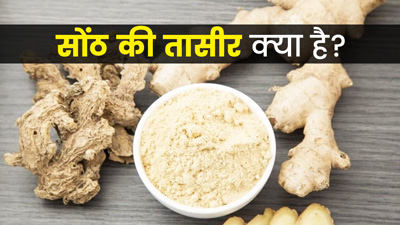 ज्यादा सोंठ खाने से हो सकते हैं ये 5 नुकसान, जानें सोंठ की तासीर