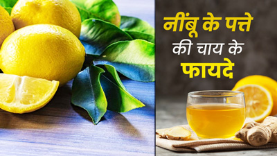 नींबू के पत्ते की चाय पीने से सेहत को मिलते हैं 6 फायदे, जानें बनाने का तरीका