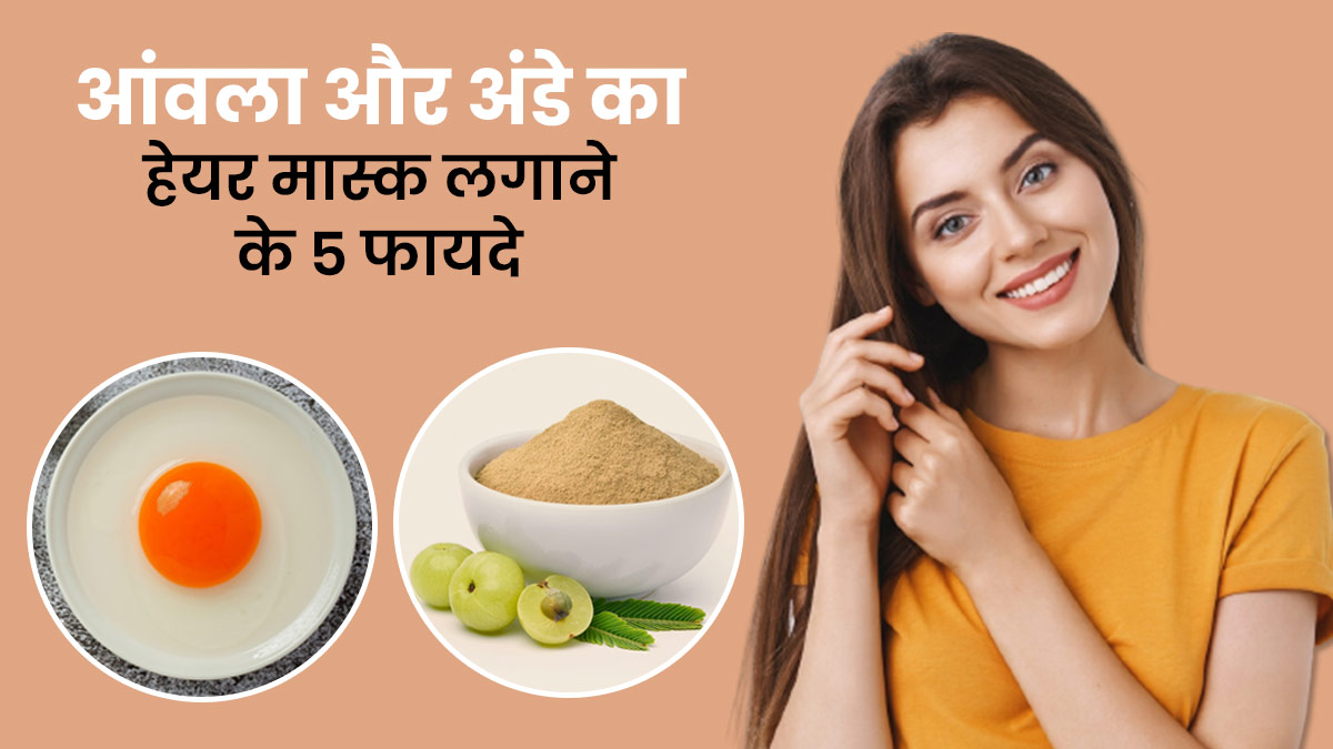 बालों के लिए आंवला पाउडर और अंडे का हेयर मास्क के फायदे | Amla Powder And Egg  Hair Mask Benefits In Hindi