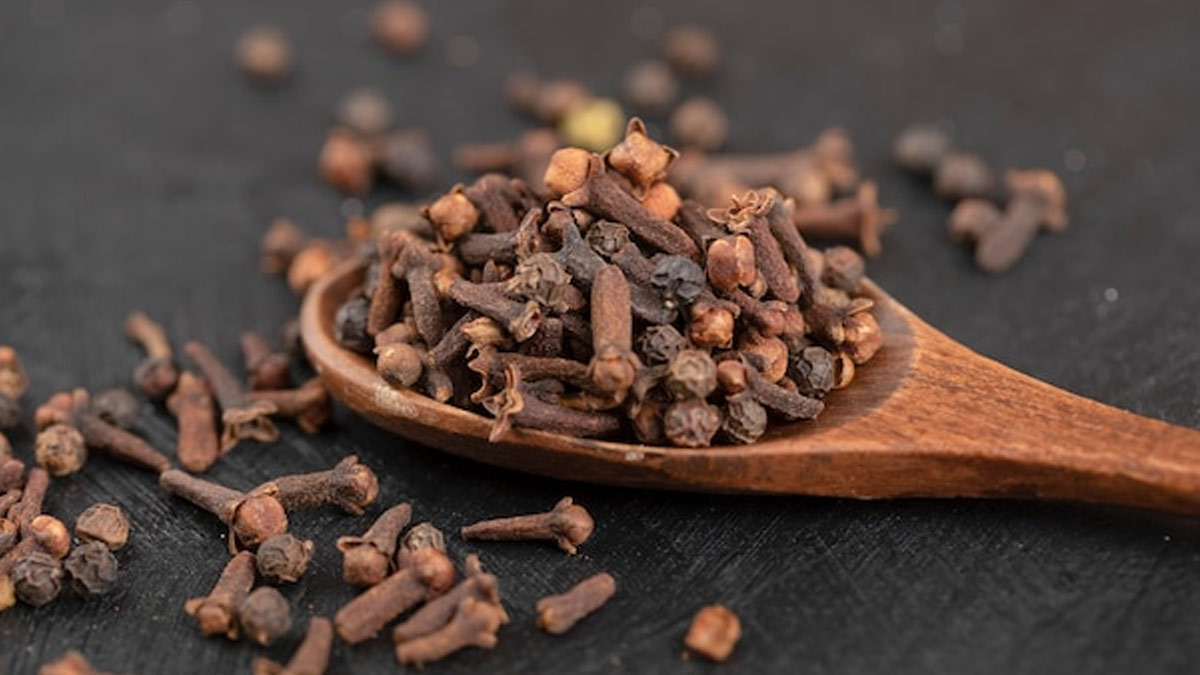 clove benefits in hindi 