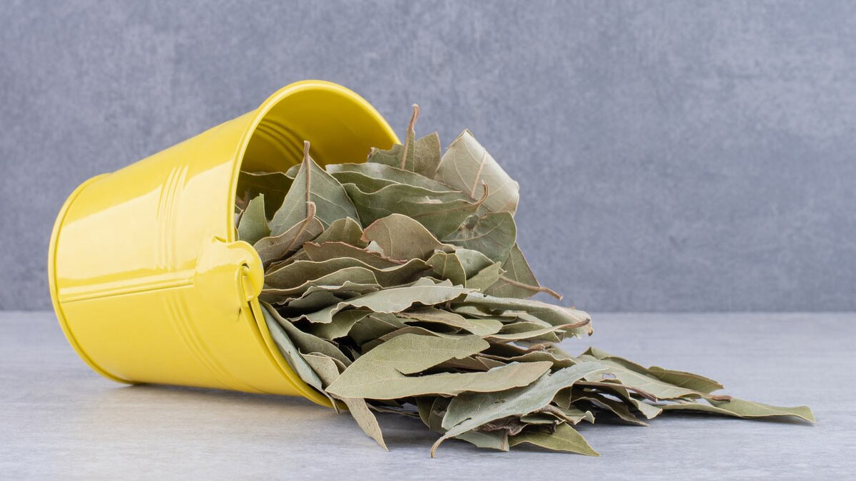 balo ke liye tej patta lagane ke fayde