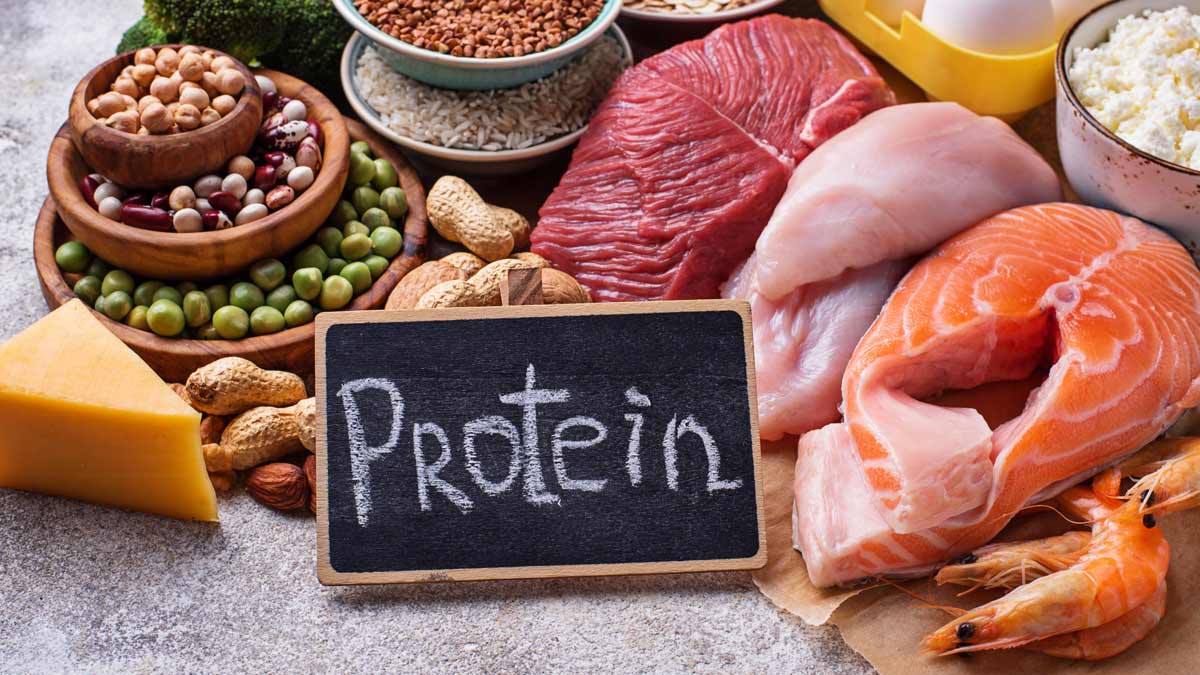 Health risks of extreme high-protein diets