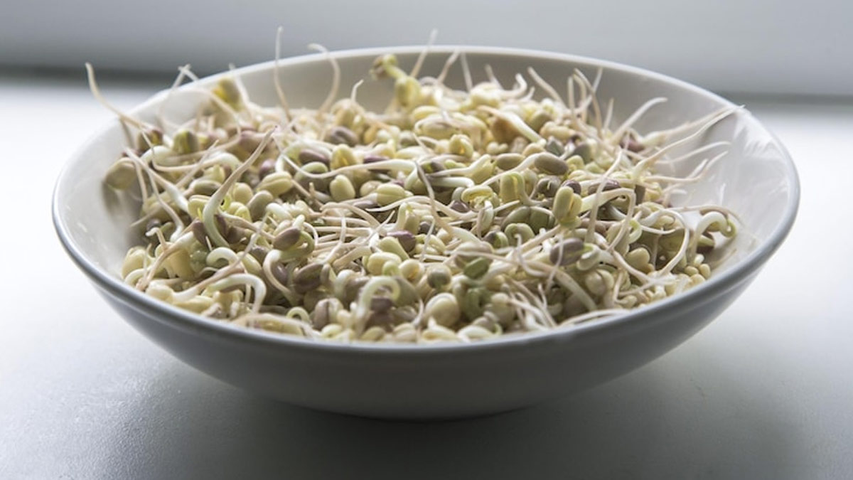 sprouted moong