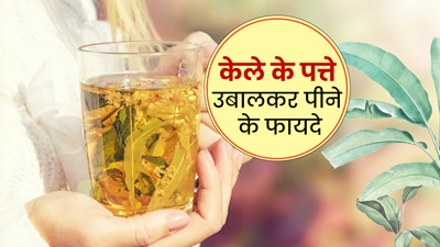 केले के पत्ते उबालकर इसका पानी पीने से सेहत को मिलेंगे 5 जबरदस्त फायदे 