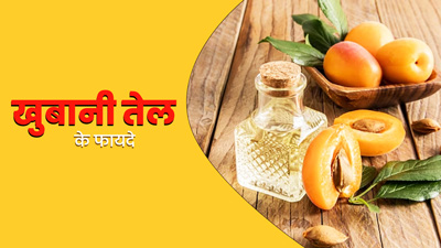 Apricot Oil Benefits: त्‍वचा और बालों को स्‍वस्‍थ रखता है खुबानी का तेल, जानें फायदे