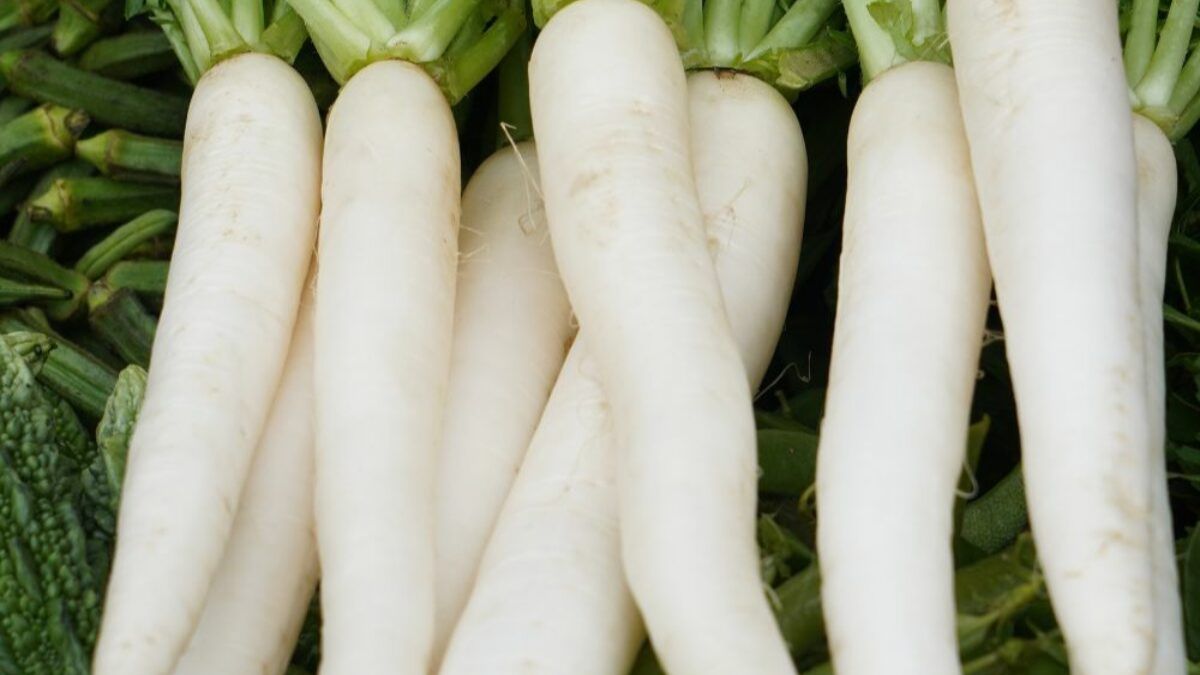 Radish Seeds Benefits