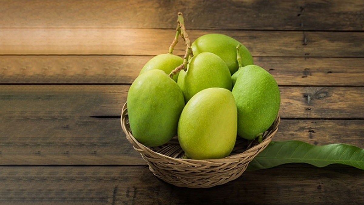 mango side effects in pregnancy