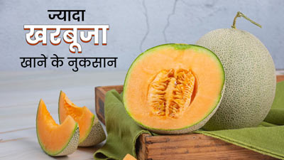 ज्यादा खरबूजा खाने से सेहत को हो सकते हैं ये 5 गंभीर नुकसान, एक्सपर्ट से जानें इनके बारे में