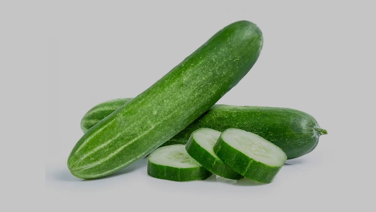 Summer-Cooling-Ingredients