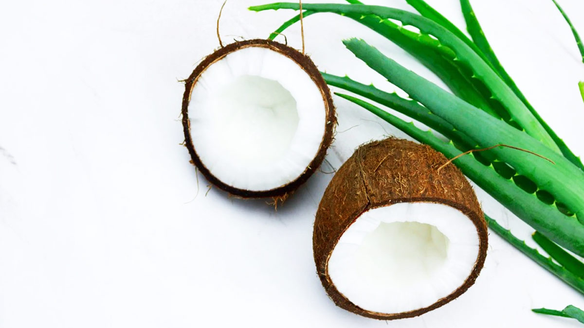 aloevera with coconut oil