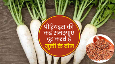 पीरियड्स की कई समस्याओं को दूर करते हैं मूली के बीज, जानें कैसे करना है सेवन