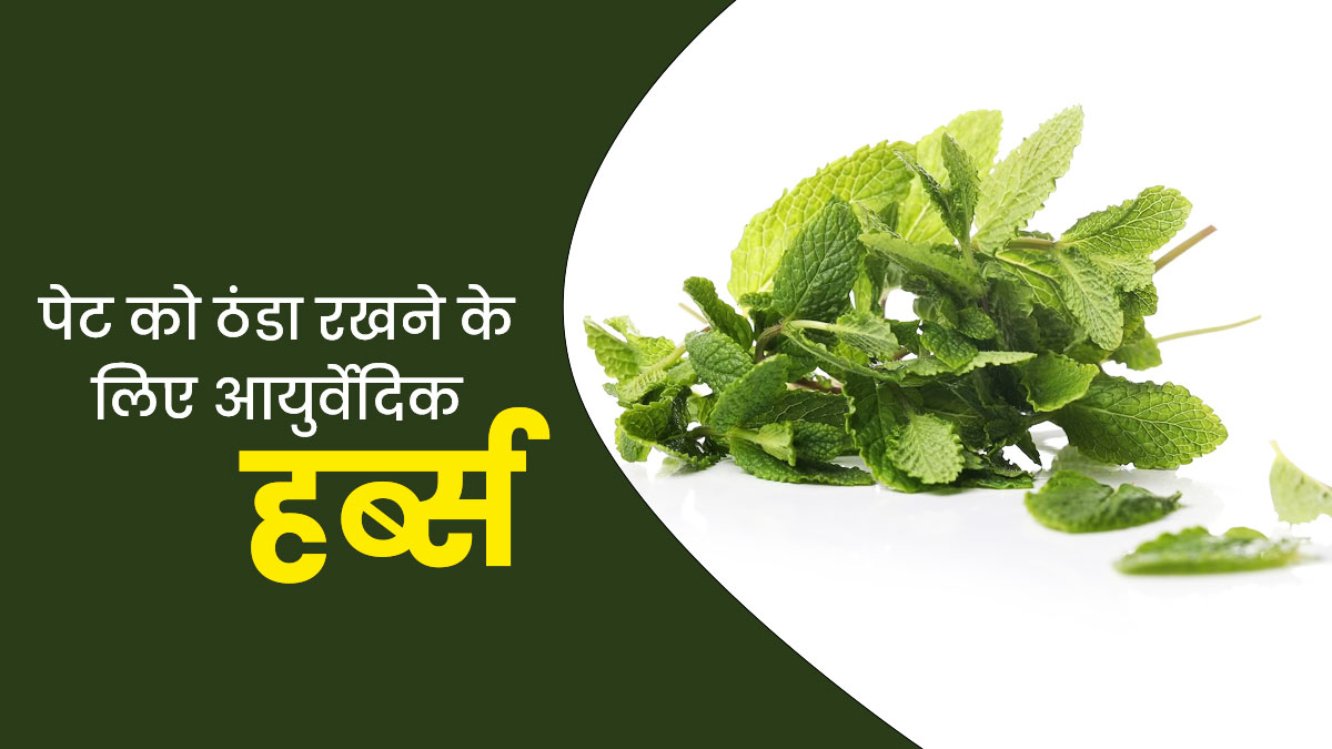 गर्मियों में पेट को ठंडा रखने के लिए आजमाएं ये 5 आयुर्वेदिक हर्ब्स