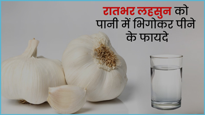 रातभर पानी में भिगोकर रखें लहसुन, सुबह खाली पेट इसे पीने से मिलेंगे 5 जबरदस्त फायदे
