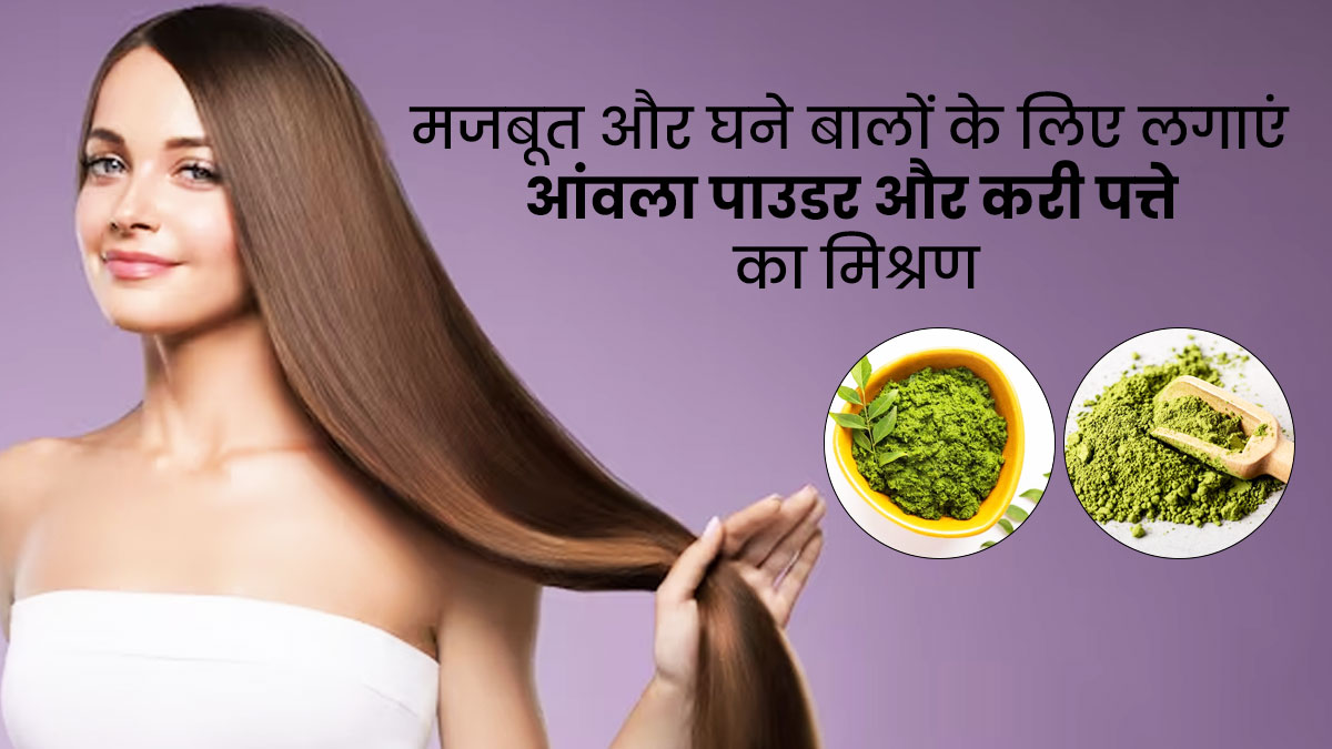मजबूत और घने बालों के लिए लगाएं आंवला पाउडर और करी पत्ते का मिश्रण, मिलेंगे और भी फायदे