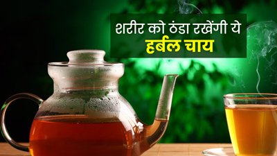 गर्मियों में पिएं ये 5 हर्बल चाय, शरीर रहेगा ठंडा
