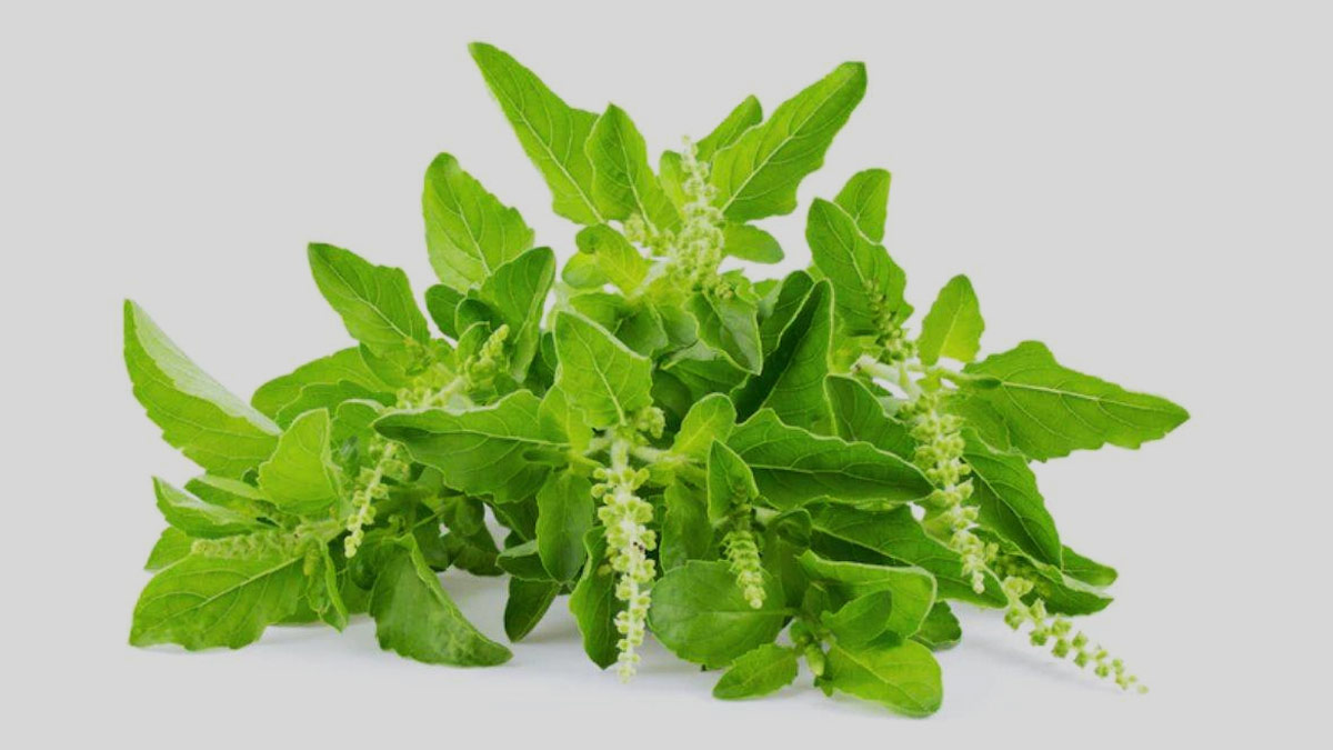 Ayurvedic-Remedies-For-Tongue-Blisters