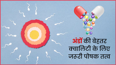 महिलाओं में अंडों की क्वालिटी बेहतर बनाने के लिए जरूरी हैं ये 5 पोषक तत्व, जानें किन फूड्स में होते हैं मौजूद