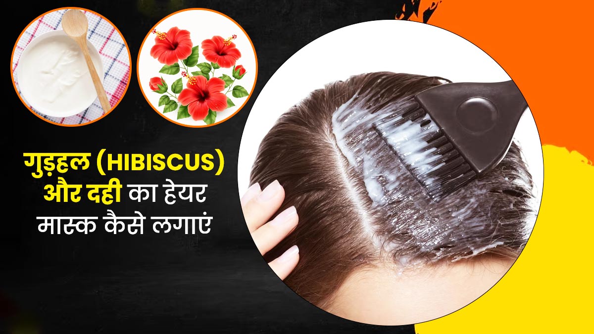 इस तरह लगाएं गुड़हल (Hibiscus) और दही का हेयर मास्क, बाल बनेंगे घने और मजबूत