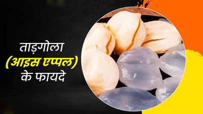 गर्मियों में शरीर को ठंडा रखेगा ताड़गोले का फल, जानें इसके 5 जबरदस्त फायदे