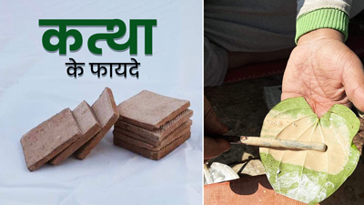 पान में इस्तेमाल होने वाला कत्था दूर करता है सेहत से जुड़ी कई समस्याएं, जानें प्रयोग का तरीका