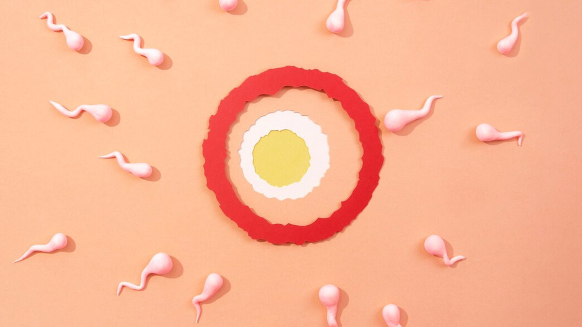 Nutrition To Improve Sperm Quality in hindi