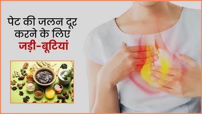 गर्मी में होने वाली पेट की जलन को शांत करने के लिए खाएं ये 6 जड़ी-बूटियां