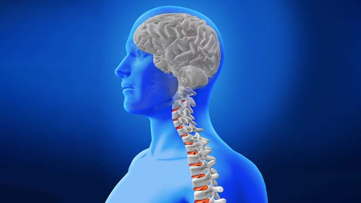 Spinal Cord Compression: Causes, Symptoms And Treatment