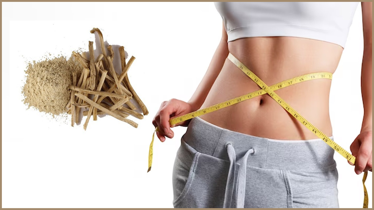 shatavari for weight loss