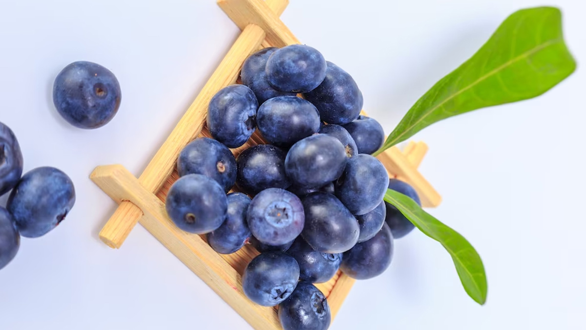 Health Benefits of Blueberries in Summer in Hindi