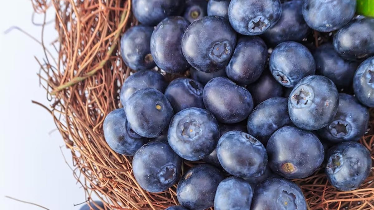 Health Benefits of Blueberries in Summer in Hindi