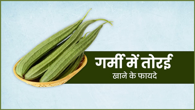 गर्मियों में जरूर खाएं तरोई, सेहत को मिलेंगे ये 5 जबरदस्त फायदे